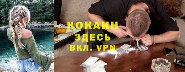 крисы Армянск