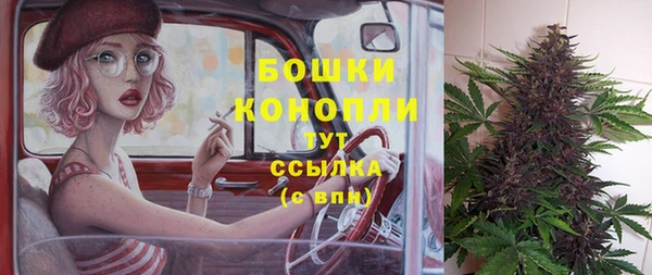 крисы Армянск
